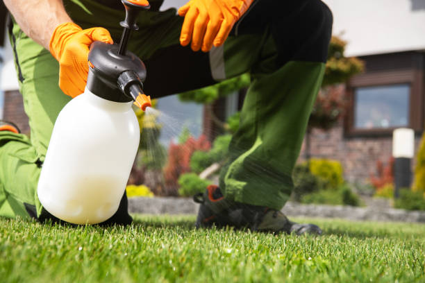 Best Bed Bug Extermination  in Huntsville, TX