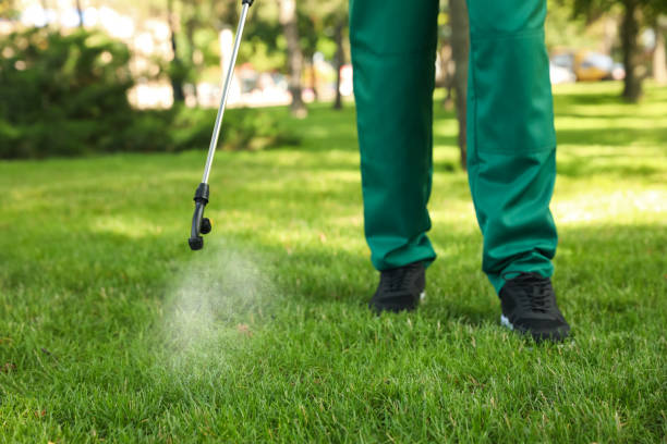 Best Best Pest Control Near Me  in Huntsville, TX