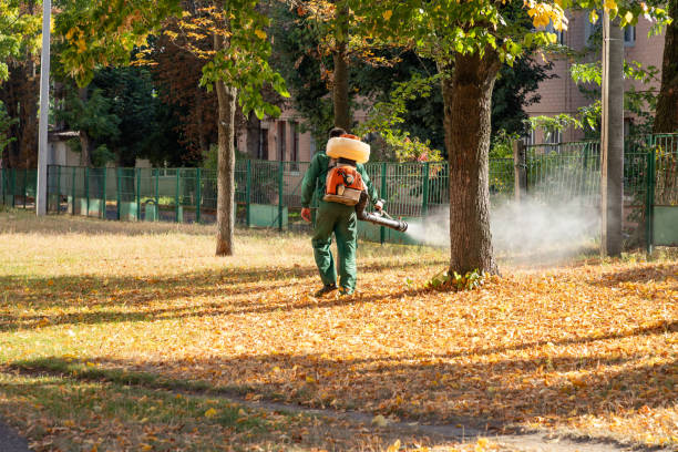 Best Cockroach Control Services  in Huntsville, TX
