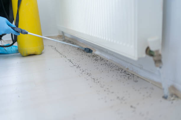 Trusted Huntsville, TX Pest Control Experts
