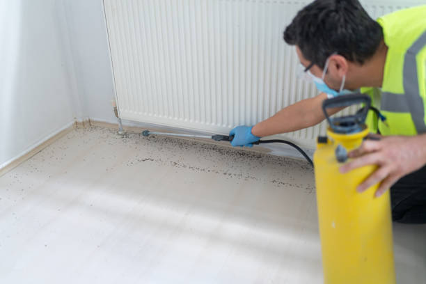 Pest Control for Restaurants in Huntsville, TX