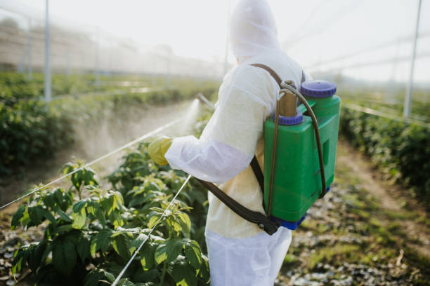 Best Flea Control Services  in Huntsville, TX